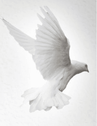 Eddie Charles Lewis Obituary