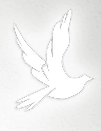 Tonnie Larry Dixon Obituary