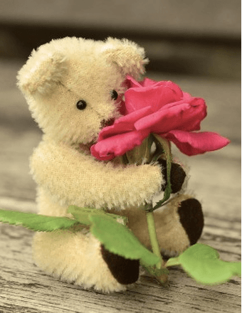 Baby Girl Shan' derrin Johnson Obituary