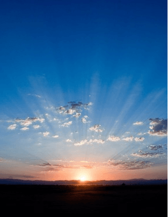 Teresa R Lee Obituary